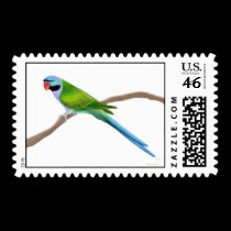 Derbyan Moustache Parakeet Postage postage
