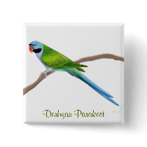 Derbyan Parakeet, Derbyan Parakeet buttons by twopurringcats Derbyan Parakeet, Derbyan Parakeet buttons