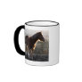 Derbyshire, England Coffee Mugs