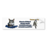 Derecho Bumper Sticker bumper stickers