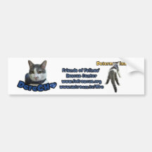Derecho Bumper Sticker