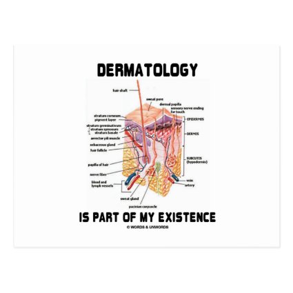 Dermatology Is Part Of My Existence (Skin Layers) Post Cards