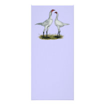 dern Game Bantam:  Self Blue Rack Card