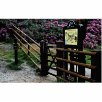 Dersingham Nature Trail near Sandringham, Norfolk, Photo Cut Out