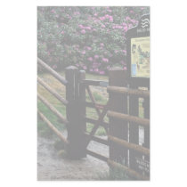 Dersingham Nature Trail near Sandringham, Norfolk, Stationery