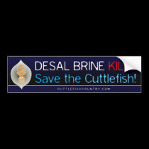 Desal Brine Kills - Save the Cuttlefish! Sticker bumper stickers