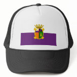 Desamparados, Costa Rica flag Mesh Hat