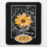 Desaturated Spring Flash African Daisy Photograph mousepads