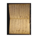 Description Codex flight of the birds Leonardo da  postcards
