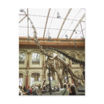 Description Museum f?r Naturkunde, Berlin: Skelett postcards by rahulbiswas Description Museum f?r Naturkunde, Berlin: Skelett postcards
