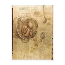 Description Studies of Embryos Leonardo da Vinci ( Post Card