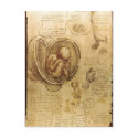 Description Studies of Embryos Leonardo da Vinci ( postcards by rahulbiswas Description Studies of Embryos Leonardo da Vinci ( postcards