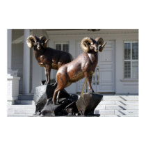 Desert Big Horn Sheep, Governor's Mansion posters