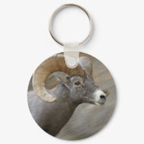 Desert Bighorn Ram keychains