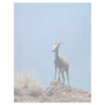 Desert bighorn sheep (Ewe) Letterhead Template