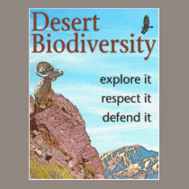 Desert Biodiversity postcards
