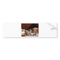 desert bird bumper sticker