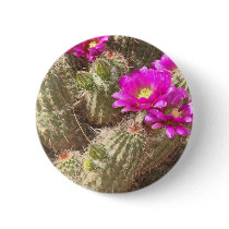 Desert bloom buttons by MCMILLENPHOTO Desert bloom buttons