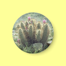 Desert Blooms Cactus Refrigerator Gift Magnet magnets