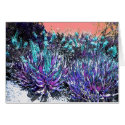 Desert Blooms cards by CORNFLAKEGIRL Desert Blooms cards