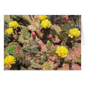 Desert Blooms card