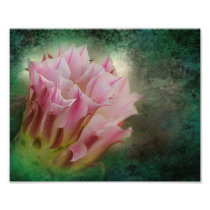 Desert blooms art photo