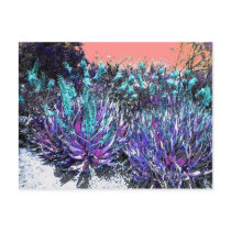 Desert Blooms postcards by CORNFLAKEGIRL Desert Blooms postcards