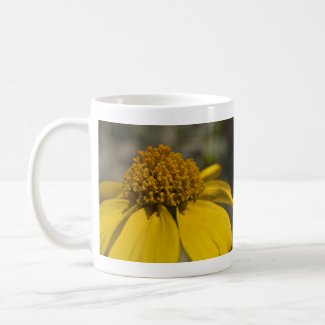 Desert Brittlebrush Mug zazzle_mug