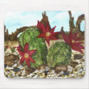 Desert Cactus mousepads