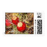 Desert cactus pair utah red desert postage