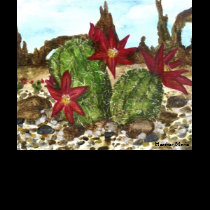 Desert Cactus t-shirts by HeatherFlower Desert Cactus t-shirts