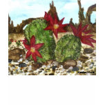 Desert Cactus T-shirt