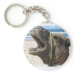 Desert Camel Keychain