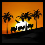 Desert Camels at sunset posters
