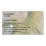 Desert catchfly business card template
