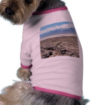 Desert Death Valley Salt pet clothing
