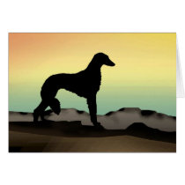 Desert Dog Saluki cards by dogsandhorses Desert Dog Saluki cards