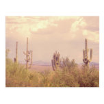 Desert Dream postcard
