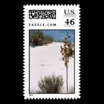Desert Feathered Friends stamps
