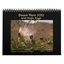 Desert Flora 2012 Calendar
