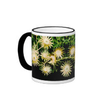 desert floral cup mugs