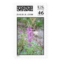 Desert Flower postage