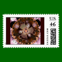 Desert Flower postage