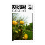 Desert Flower Postage