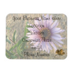 Desert Flower Rectangle Magnets