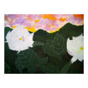 Desert Flowers posters