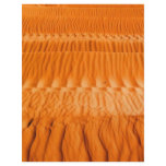Desert flyers
