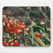 Desert Globemallow Flowers mousepads by ljmundy Desert Globemallow Flowers mousepads