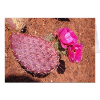Desert glow card