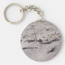 desert gopher snake 2 keychains